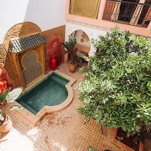 book here